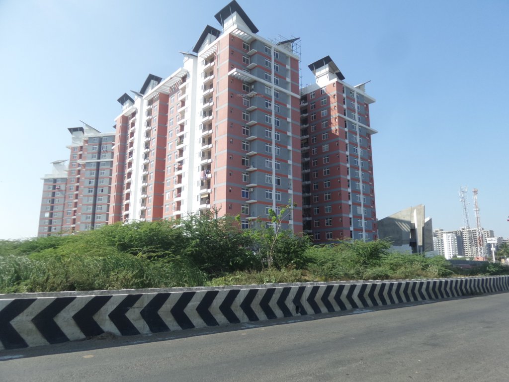  january Images for Project