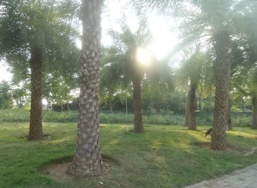  unihomes Landscaped Gardens