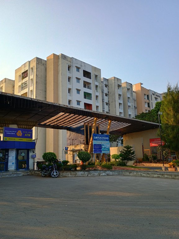  lotus pond Elevation