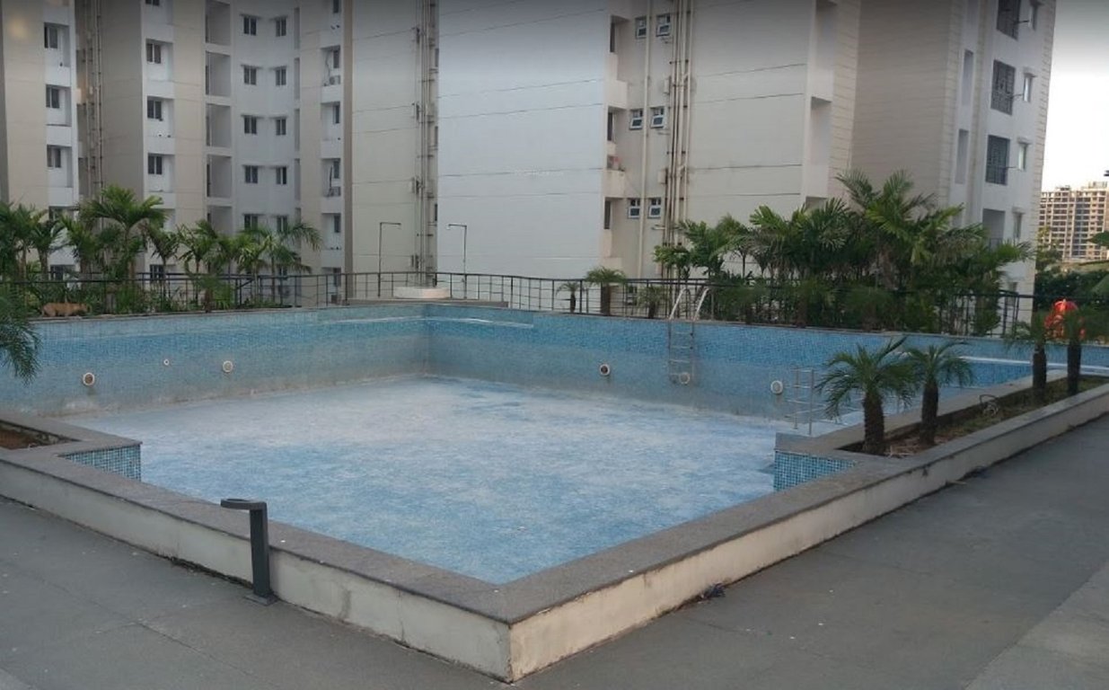  lotus pond Swimming Pool