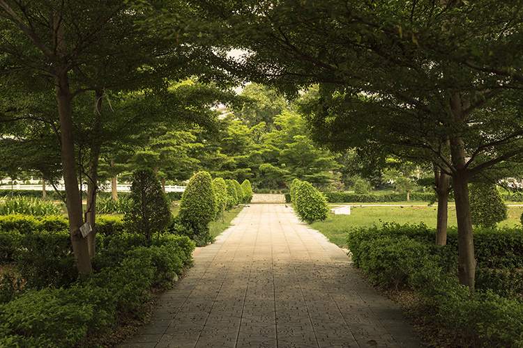  palms Images for Amenities of Neelkanth Palms