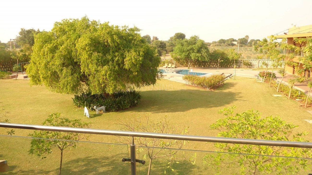  rethal greens Elevation