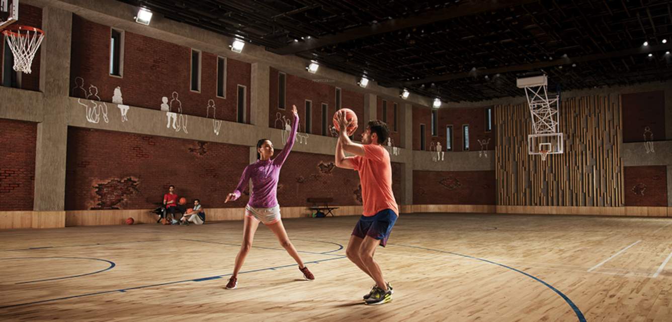  world crest Basketball Court