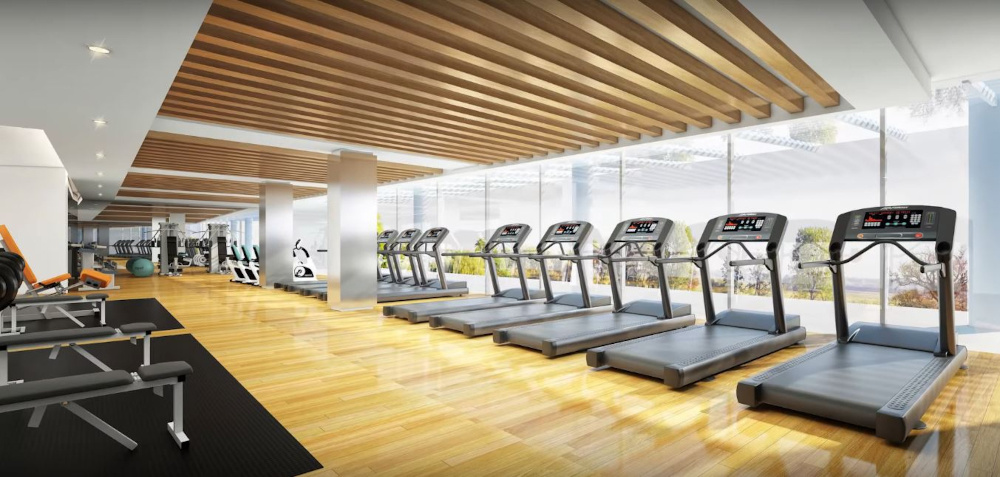  harbour heights Gymnasium