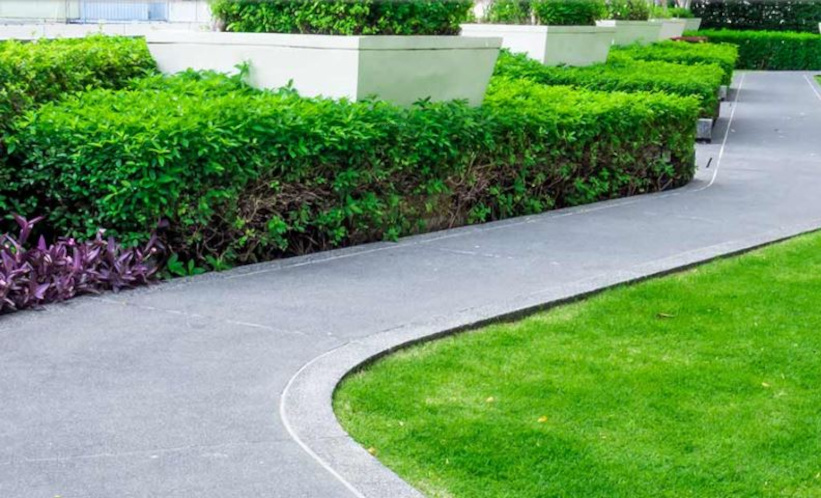  harbour heights Jogging Track