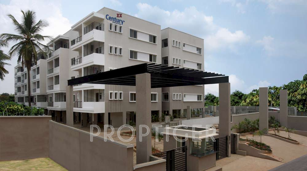 Images for Elevation of Century Marvel