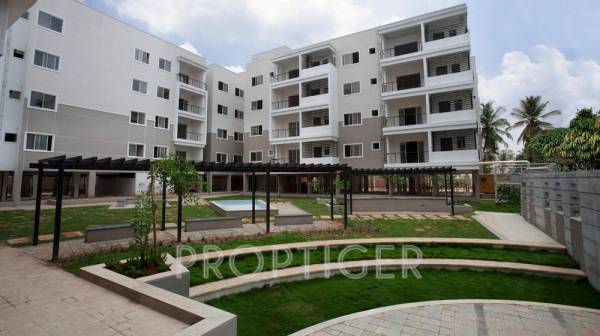 Images for Elevation of Century Marvel marvel Images for Elevation of Century Marvel