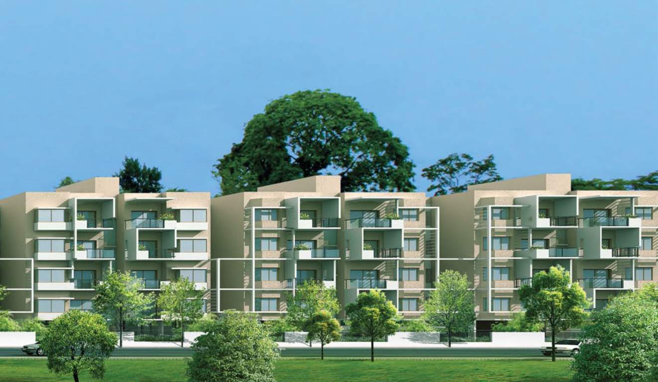  linea Images for Elevation of Century Linea