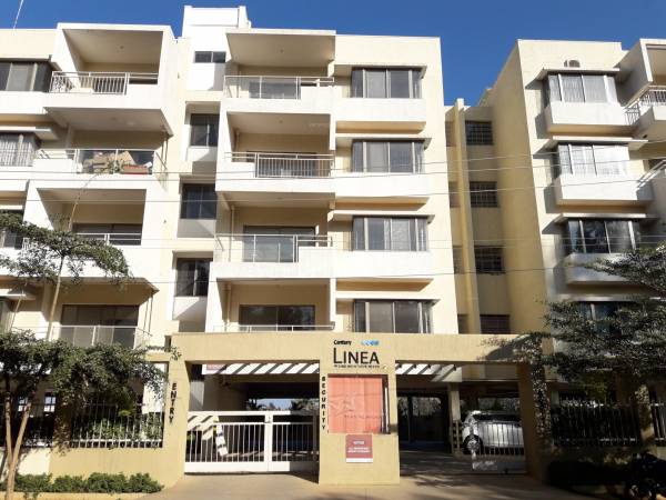  linea Images for Project