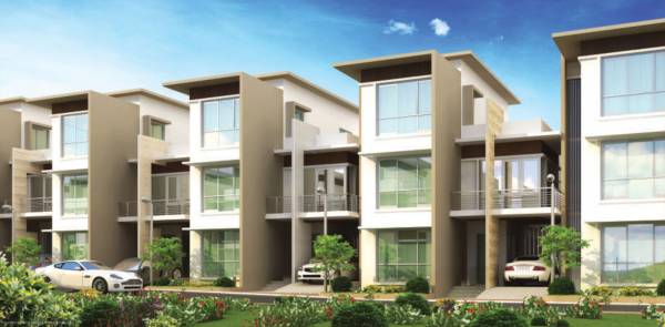 Images for Elevation of SJR Crystal Cove