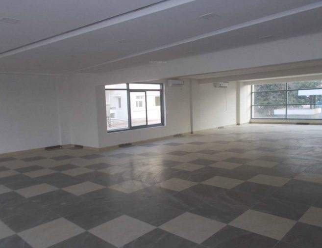 Prestige Silver Crest