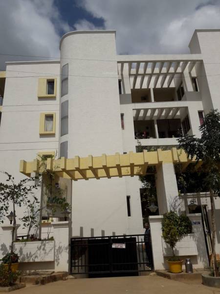  olive Images for Project