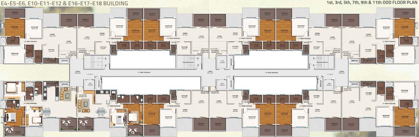  ivy apartments Images for Cluster Plan of Kolte Patil IVY Apartments