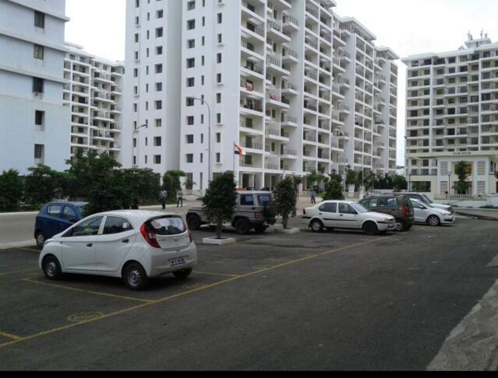  ivy apartments Images for Project