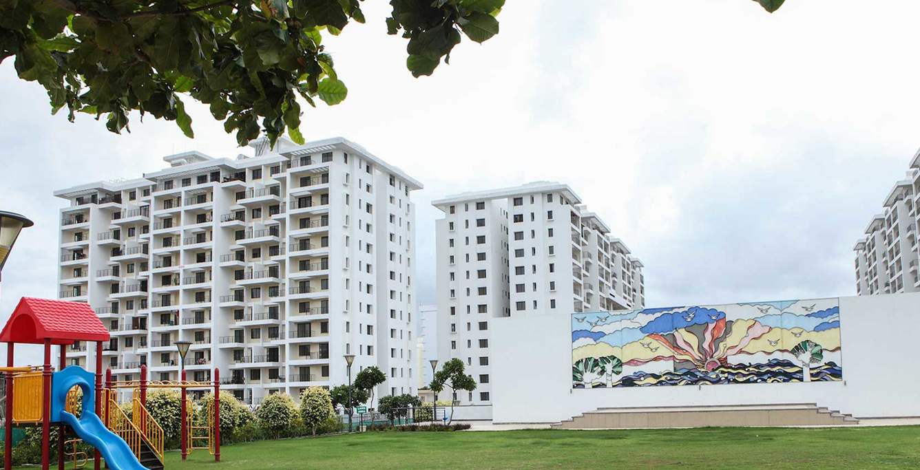  ivy apartments Images for Project