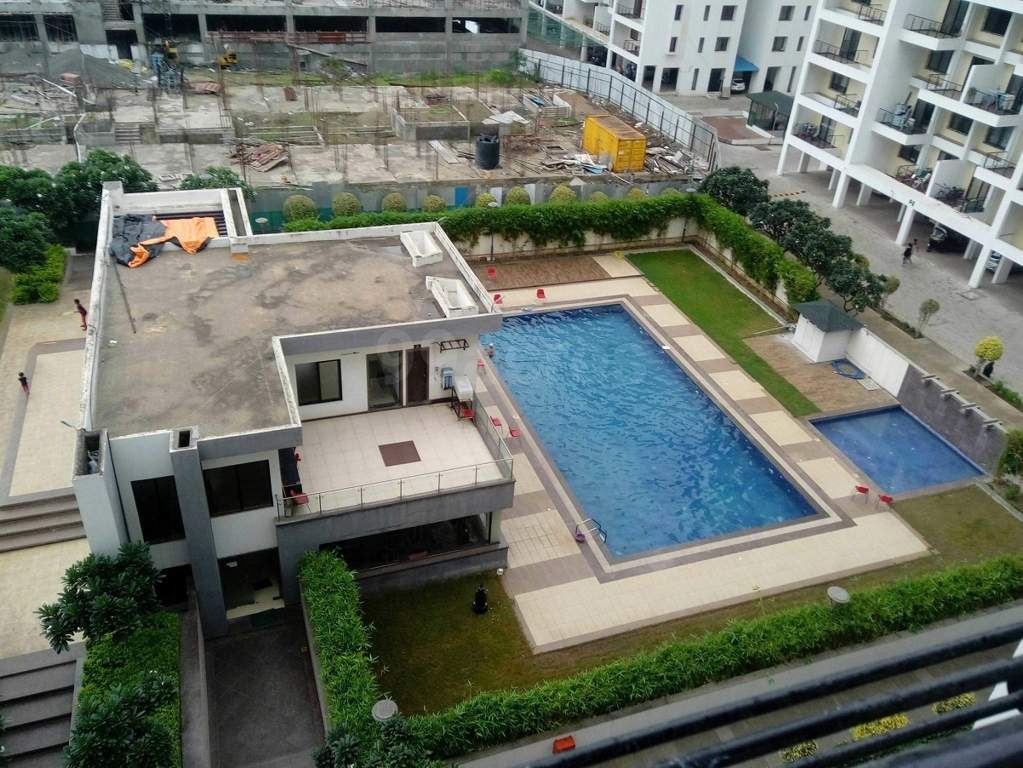  ivy apartments Swimming Pool