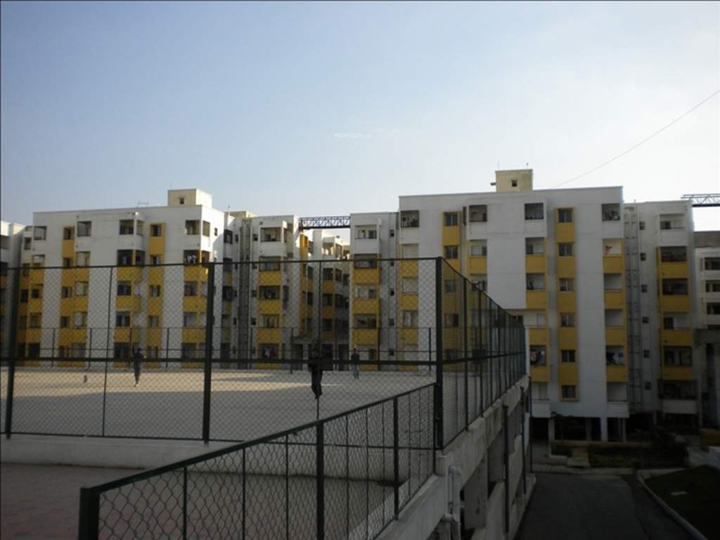  mahavir Basketball Court