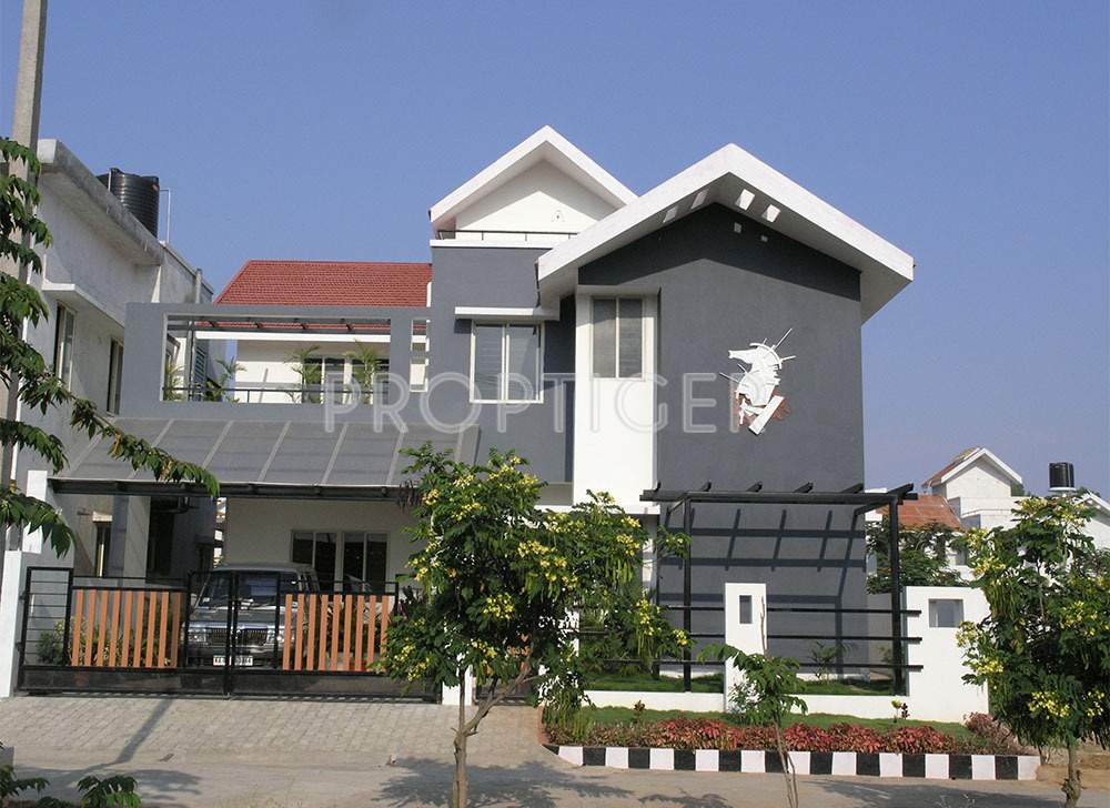 golden treasure Images for Elevation of Celebrity Golden Treasure