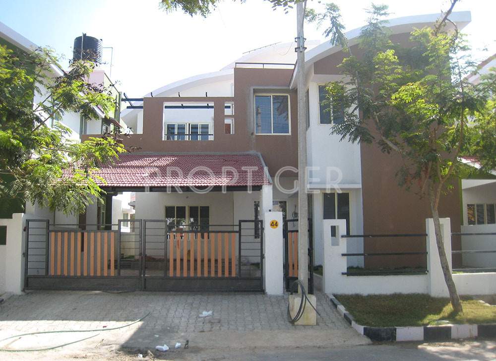 golden treasure Images for Elevation of Celebrity Golden Treasure