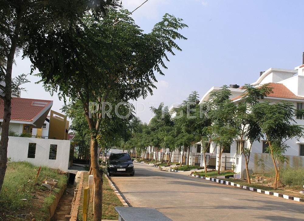 golden treasure Images for Elevation of Celebrity Golden Treasure