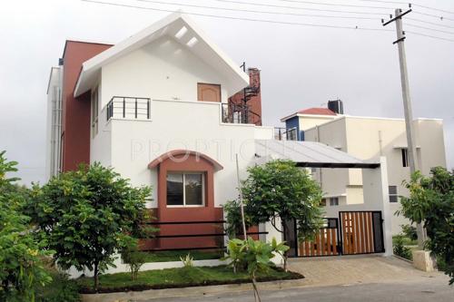  golden-treasure Images for Elevation of Celebrity Golden Treasure