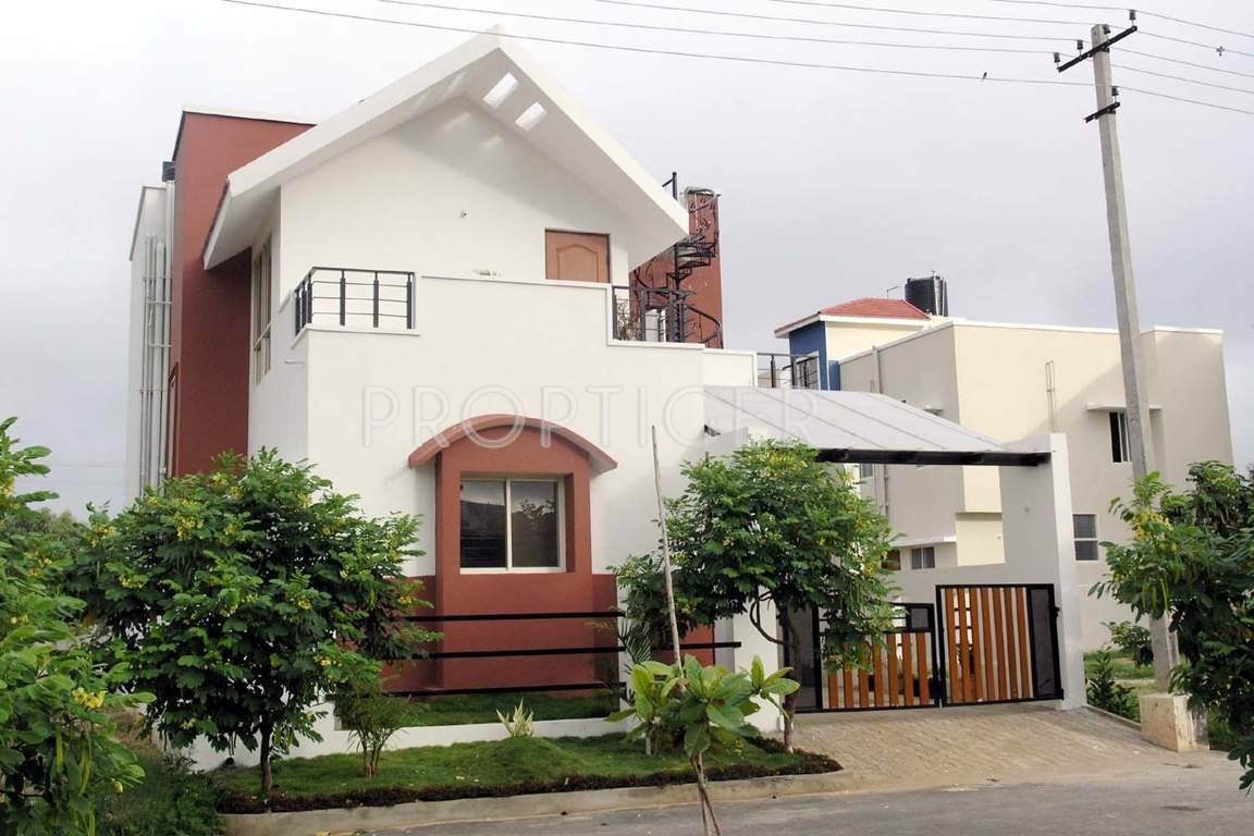 golden treasure Images for Elevation of Celebrity Golden Treasure