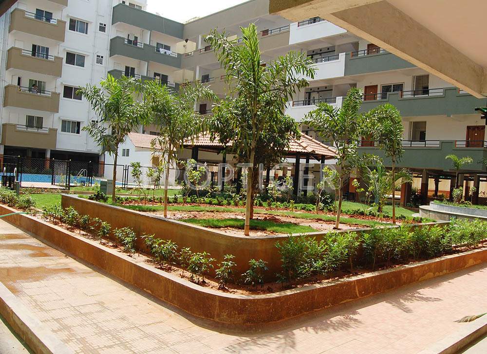 Images for Elevation of Celebrity Signature