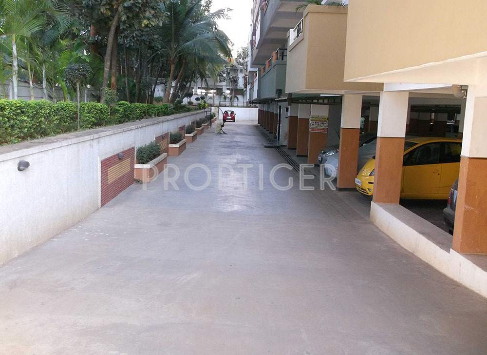 Images for Elevation of Celebrity Signature