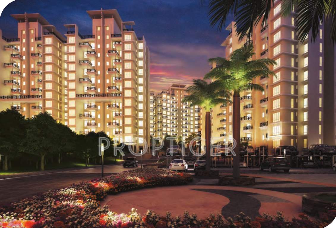  colori Images for Elevation of Amit Colori