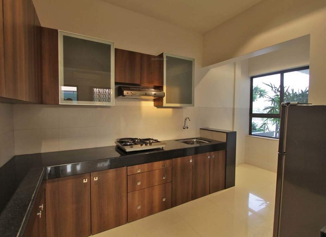  colori Images for Main Other of Amit Colori