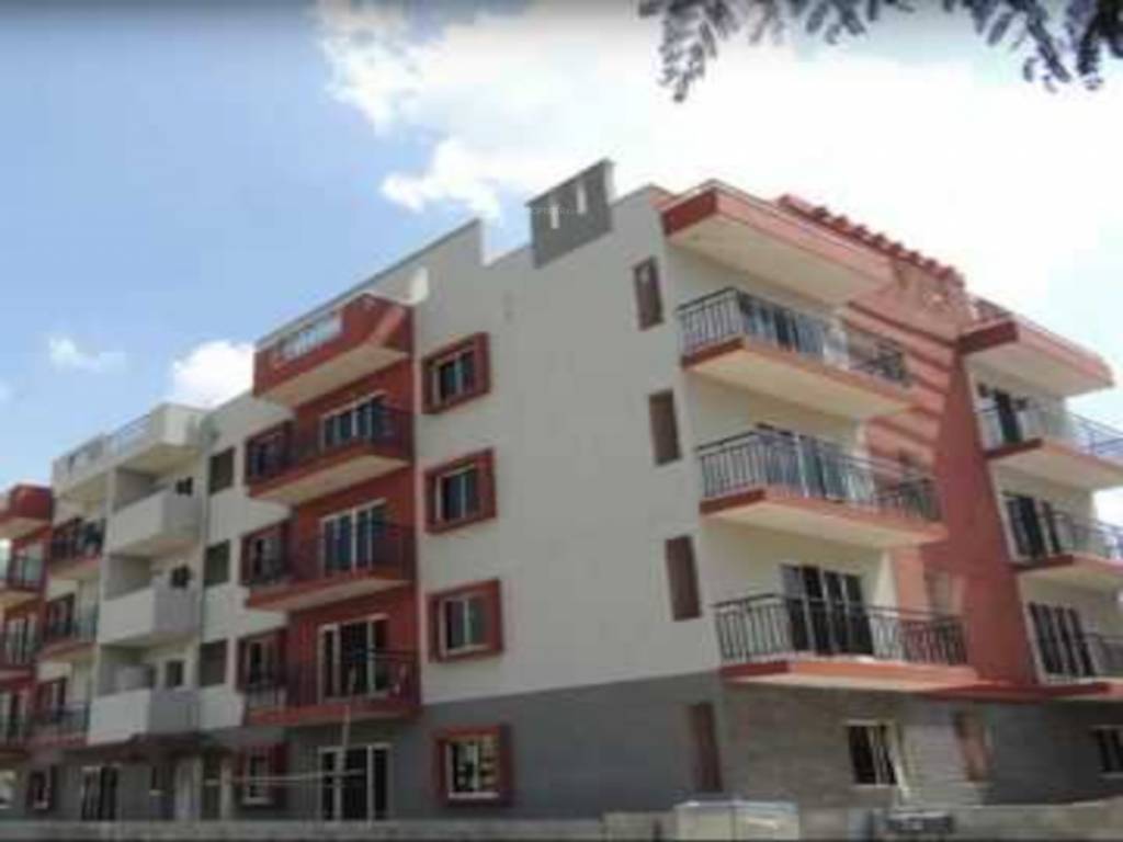  lifestyle aldila Elevation