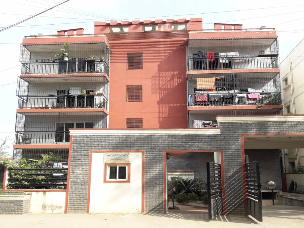  lifestyle aldila Elevation