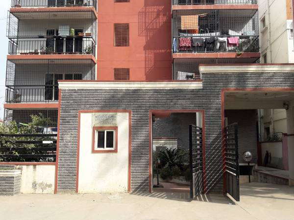  lifestyle-aldila Elevation