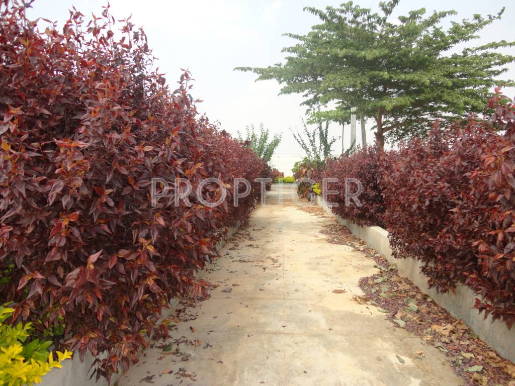 Images for Main Other of NBR Green Valley