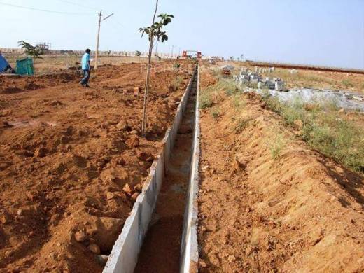 meadows Images for Elevation of NBR Meadows Images for Elevation of NBR Meadows