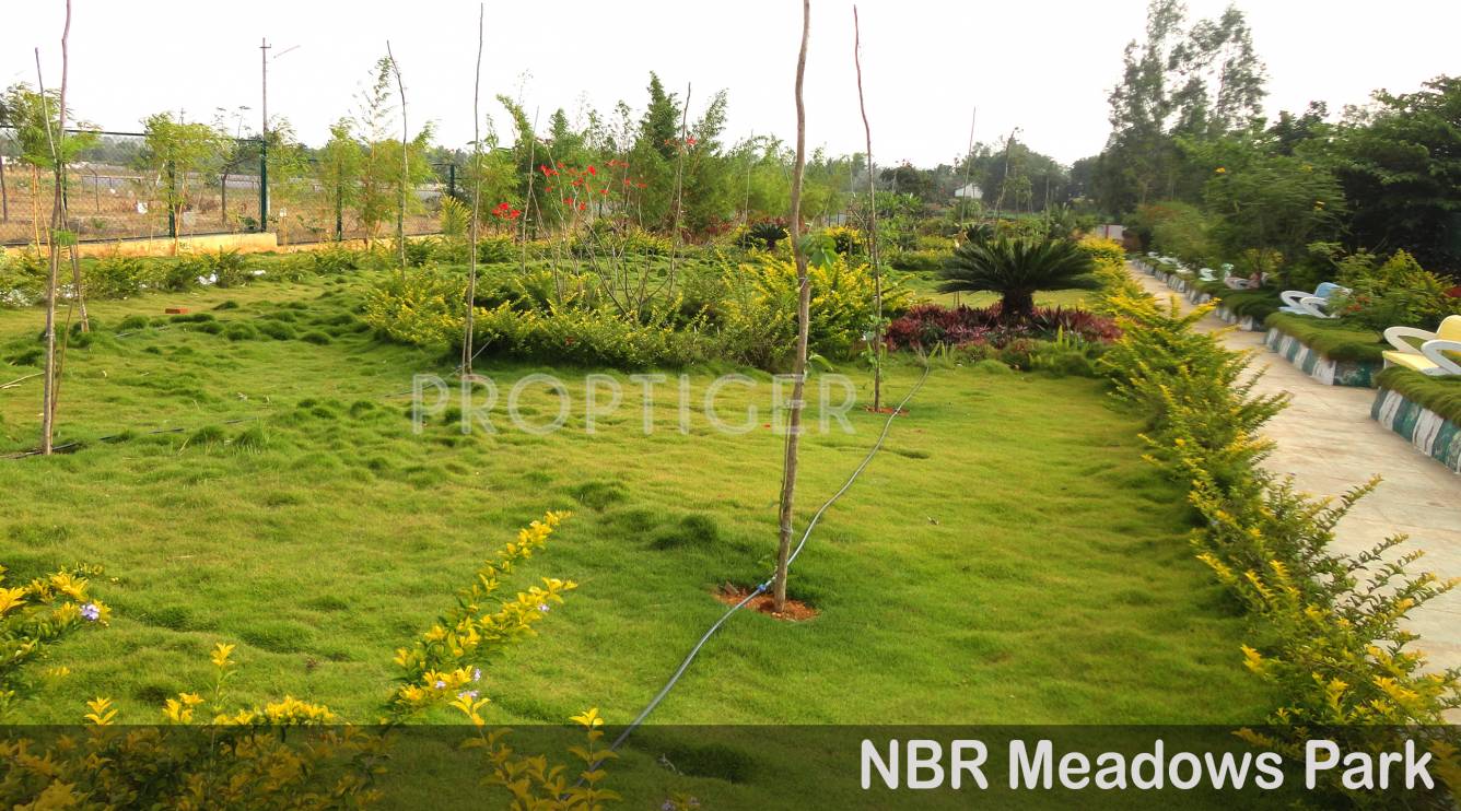 Images for Amenities of NBR Meadows