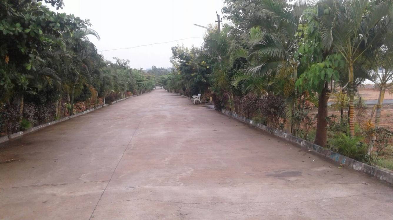 Images for Main Other of NBR Meadows