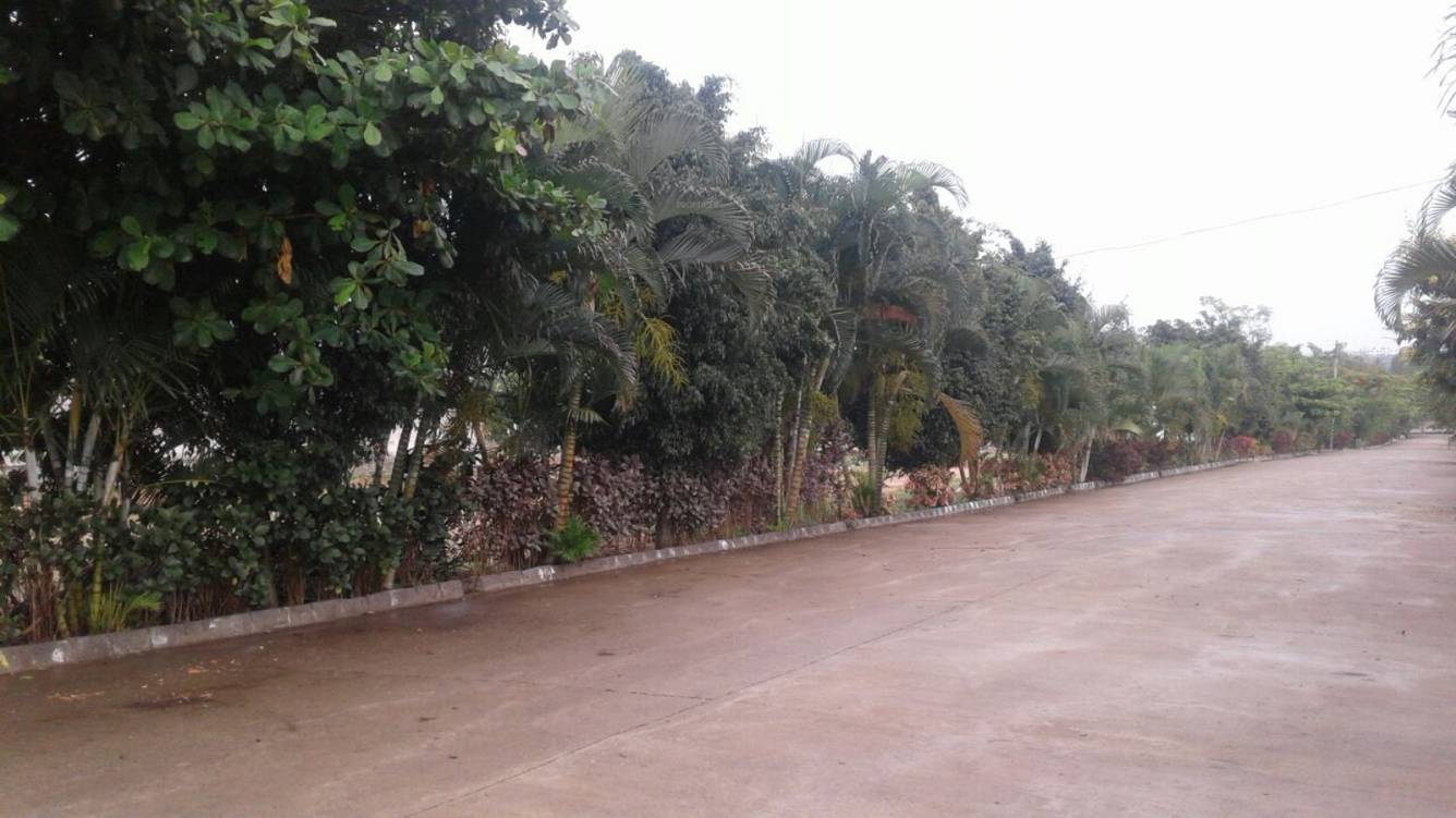 Images for Main Other of NBR Meadows