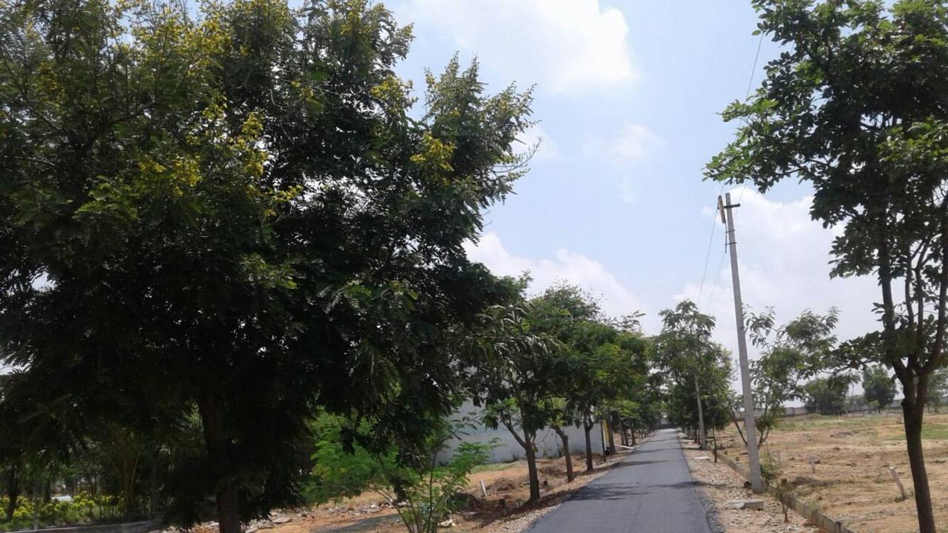 Images for Main Other of NBR Meadows