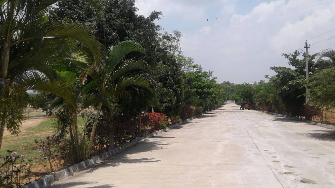 Images for Main Other of NBR Meadows