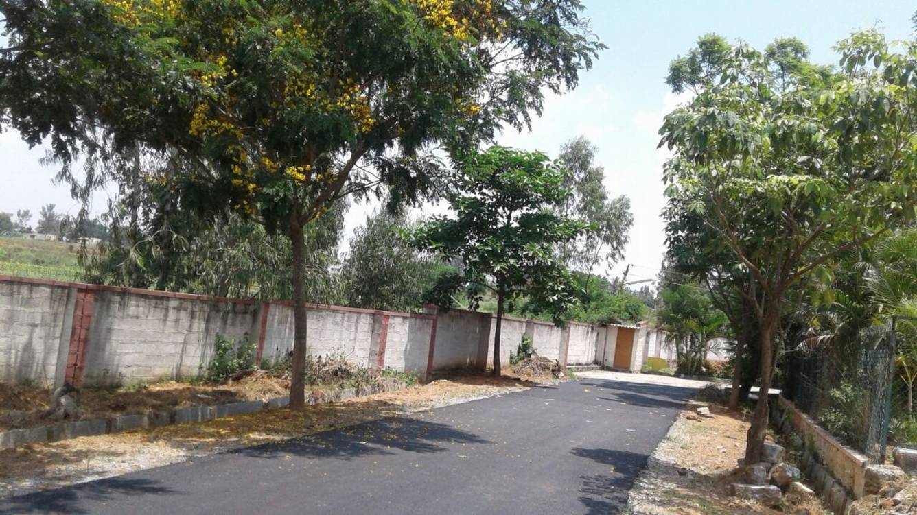 Images for Main Other of NBR Meadows