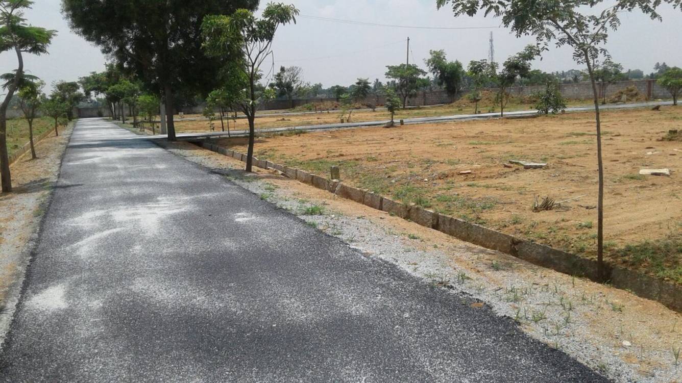 Images for Main Other of NBR Meadows