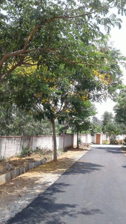 Images for Main Other of NBR Meadows