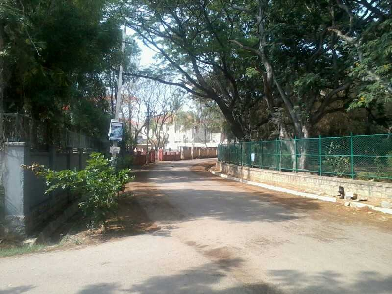 parkwest Internal Roads