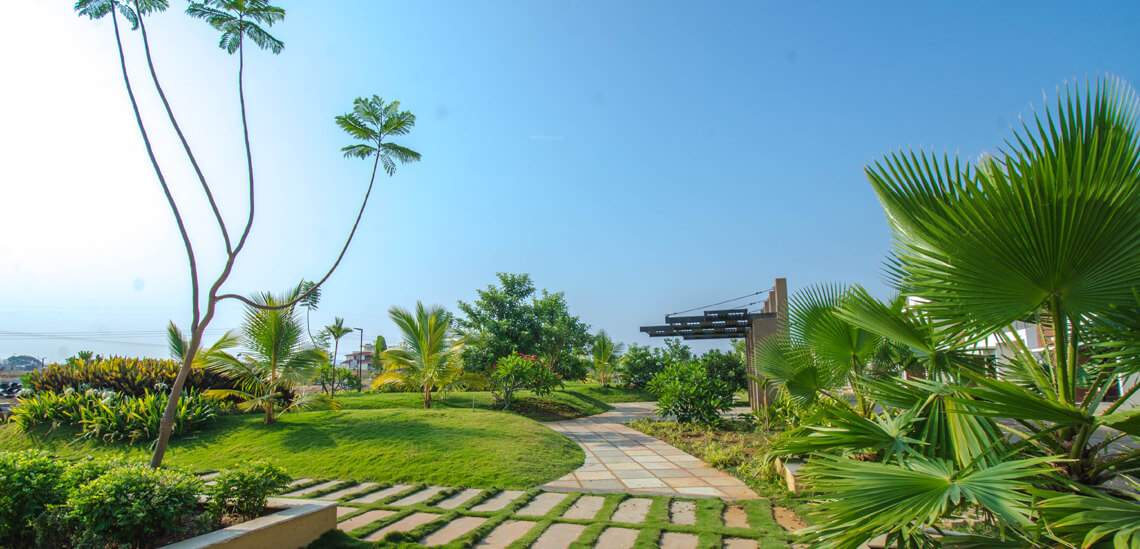 napa valley Images for Amenities of Concorde Napa Valley