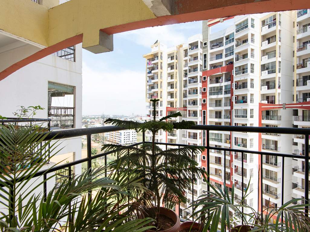 manhattans Images for Elevation of Concorde Manhattans