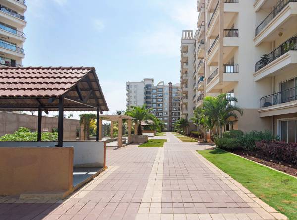 Images for Elevation of Concorde Midway City Images for Elevation of Concorde Midway City