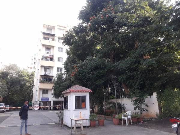  serene-county Others