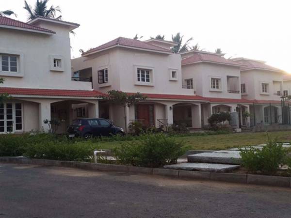 Elevation 10-downing Elevation