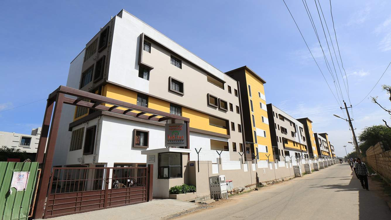 aster Images for Elevation of Habitat Aster